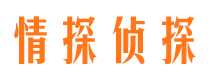 金湖侦探公司